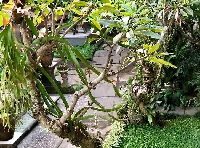 The Hidden Bali 4*