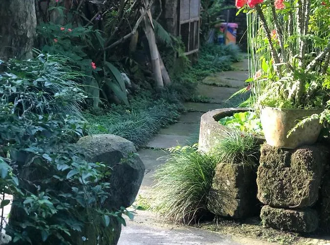 The Hidden Bali