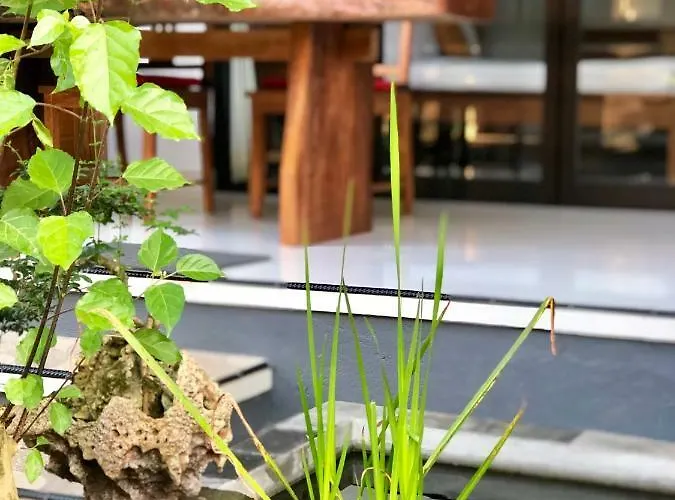 隐迹巴厘住宿加早餐旅馆 乌布